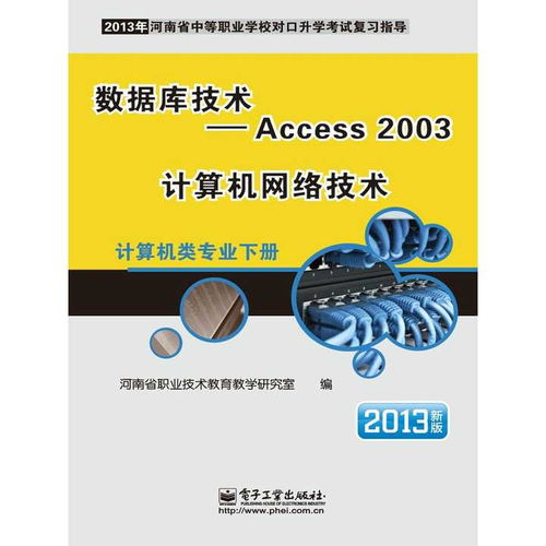 Access 2003與計算機網(wǎng)絡(luò)技術(shù) 計算機信息技術(shù)開發(fā)的核心書籍推薦